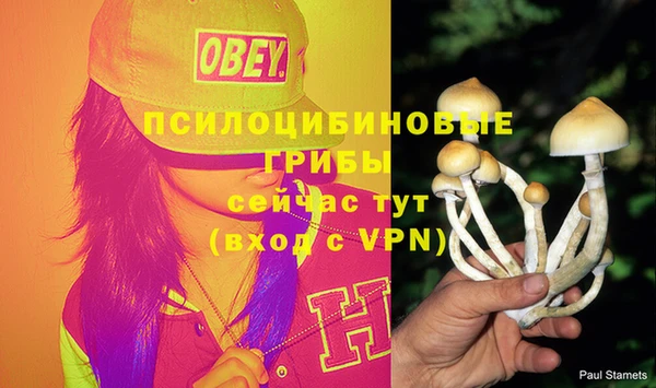 экстази Абаза